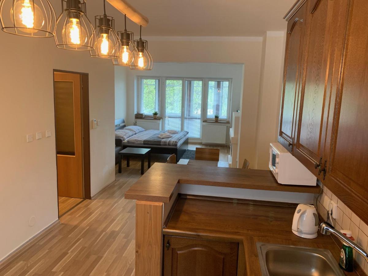 Apartments Monika Špindlerŭv Mlýn Dış mekan fotoğraf